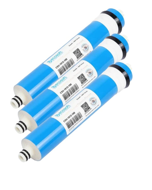 100 gpd - Ecosoft CSV-1812-100 Membrane