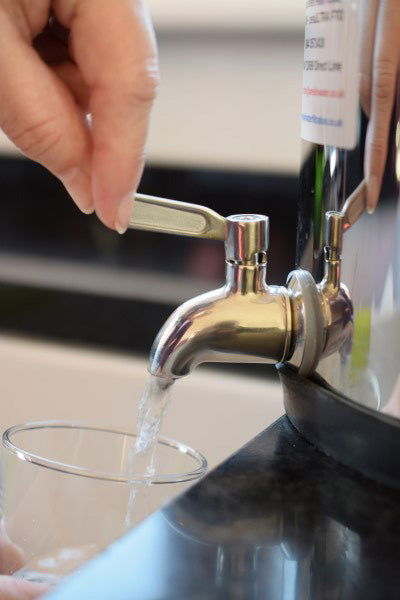 Gravity Water Filter Stainless Steel System WSSD-FL - WrekinWater