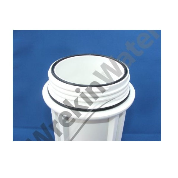 WH10-TWIN - 10in Duplex Slimline Housing -Master