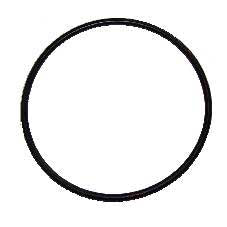 Pentair O Ring for Pentair PBH Bag Housings, PBH-ORING-EPDM 100894