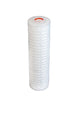 PPHP-1-10CGS : SPECTRUM Premier Pleat HE Polypropylene Filter 1µm 10" 213/Closed/Silicone 109826