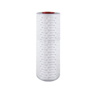 PPP10LD & PPP20LD Spectrum Premier Pleat Polypropylene Large Diameter 10" & 20" DOE