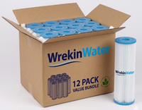 PL10 - 93/4in, 10 micron Polyester Pleated Sediment Filters